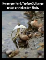 schlange.webp