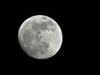 P1370257.webp