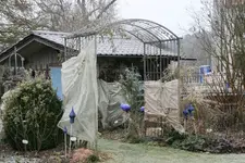 Winterschutz0219.webp