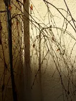 P1050151.webp