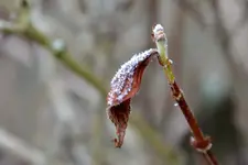 DSC_8577.webp