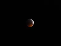 P1110631.webp