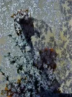 image003.webp