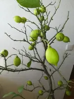 K800_IMG_20190122_101624.JPG