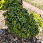 20180816_151948.jpg