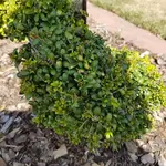 20180816_151948.webp