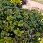 20180816_151956.webp