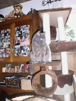 DSCI0117.webp