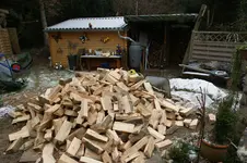 DSC07298.webp