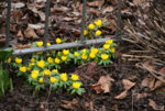 Frühling0316.JPG