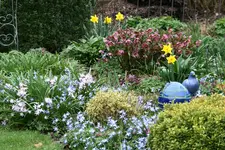 Frühling1816.webp