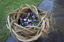 Frühling910.webp