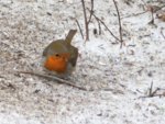 image003.jpg