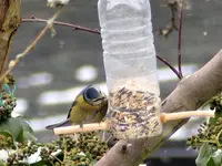 image006.webp