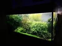 20180906_183220.webp