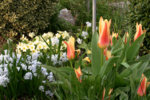 Frühling1608a.jpg