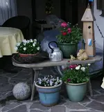 Terasse6112.webp