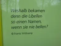 P1010411.webp