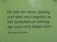 P1010413.webp