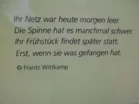 P1010421.webp