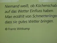 P1010423.webp