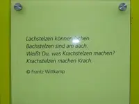 P1010433.webp