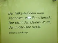P1010434.webp