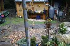 DSC07315.webp