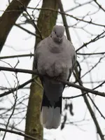 P1120190.webp