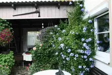 Terassse8314.webp