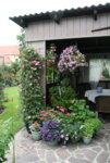 Terasse  2418.JPG