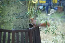 DSC07305.webp