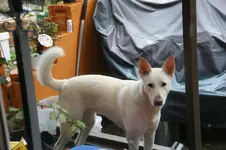 DSC07312.webp