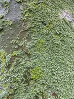 P1110650.webp