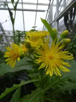 P1110660.webp