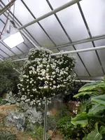 P1110675.webp