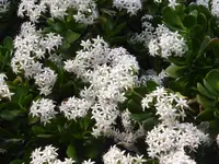 P1110676.webp