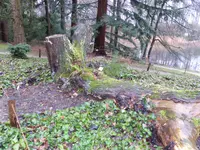 P1110698.webp