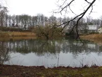 P1110700.webp