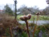 P1110710.webp