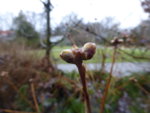 P1110710.JPG