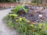 P1110711.webp