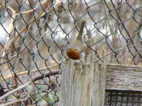 P1120340.webp