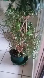 20190128_143734.webp