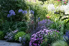 Terasse4916.webp