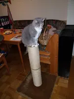 20190126_154616.webp