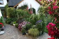 Terasse5216.webp