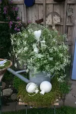 IMG_9528a.webp
