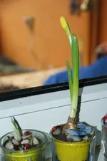 DSC07324.webp