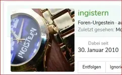 ingistern.webp